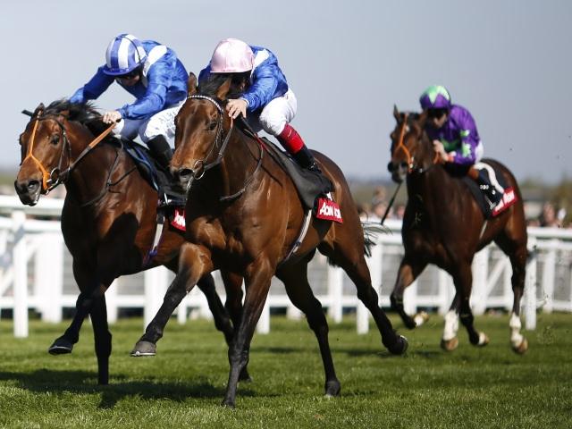 Muhaarar has the form to win the French 2000 Guineas
